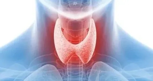 PġСe׌^Ȅʧߺw