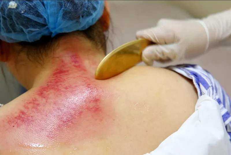 ˯ã˯ԇԇ@Щt(y)ɫ