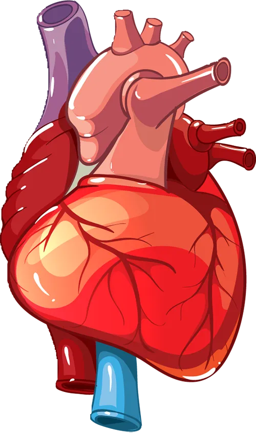 (dng)Kͣ[l(shu)(li)ȣ\(yn)İ߀EĽR