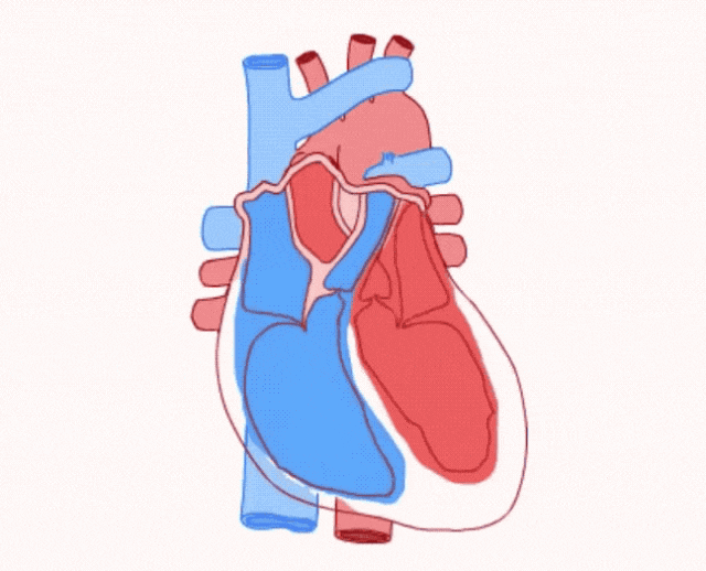 (dng)Kͣ[l(shu)(li)\(yn)İţ߀EĽR