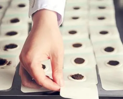 ΡNßNee(cu)^(gu)