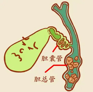 �ĺ�ҕ����ҕ�����p�R��(li��n)���@��΢������һ�ι��˶�̎�Y(ji��)ʯ��