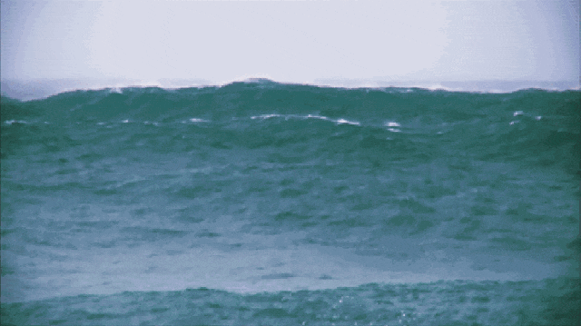 Ρ؛ˣ[ÓҸӰ@ָhղ