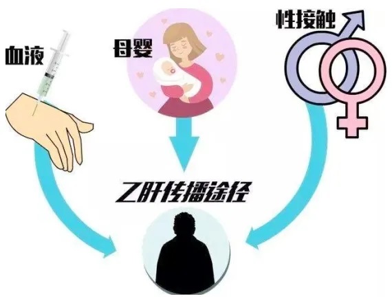 Ρ؛[ÓҸӰ@ָhղأ