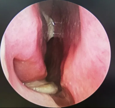 ÷꼾(ji)Сıӕl(f)ù