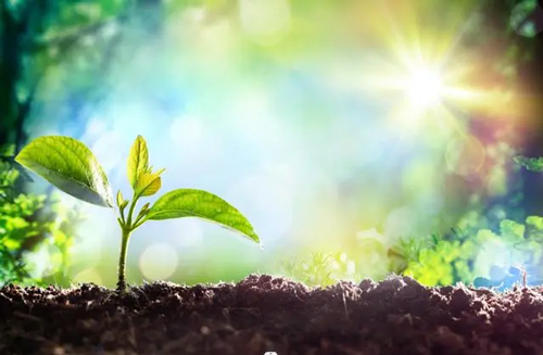 t(y)(lin)һ@Ąǵl(wi)(zhn)@