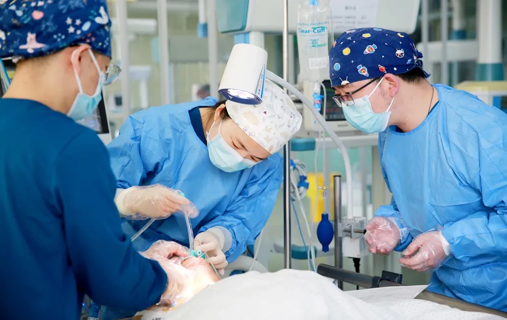 14q߿Չt(y)ԺȫIȱĹ