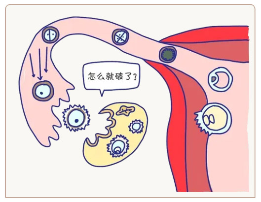 ŮԸʹԪSw㲻ɲ֪