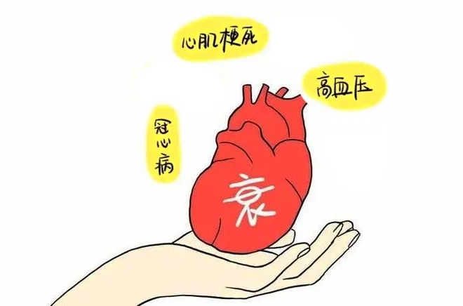 30qo(j)80qwĹp