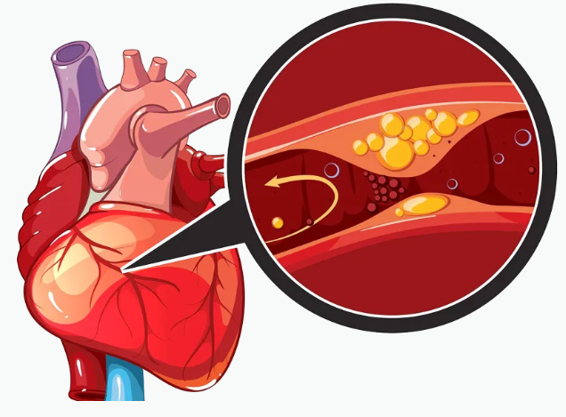 30qo(j)80qwĹp