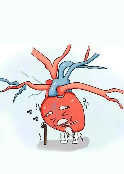 30qo(j)80qwĹp