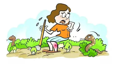  ļ＾Sļ(ji)סڽ^(q)l(xing)ľҊ߳]粻Сıҧ