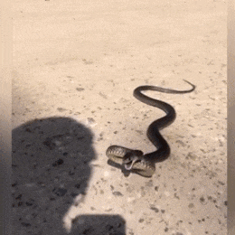  ļ＾Sļ(ji)סڽ^(q)l(xing)ľҊ߳]粻Сıҧ