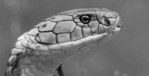  ļ＾Sļ(ji)סڽ^(q)l(xing)ľҊ߳]粻Сıҧ