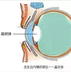 Աg(sh)ȫ^@ÿ˶ܲ