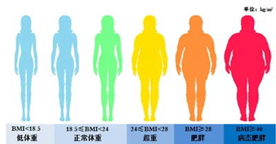 pЄһupT\_\