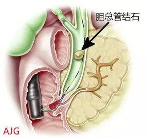 Щ׌۵ġСʯ^Say Goodbye