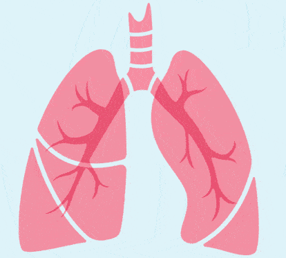 流感帶走了大S,你以為年輕就能扛?免疫系統(tǒng)奔潰不分年齡! 流感帶走了大S,你以為年輕就能扛?免疫系統(tǒng)奔潰不分年齡!